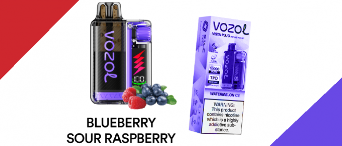 Vozol Blueberry Sour Raspberry