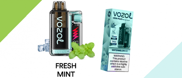 Vozol 20000 Fresh Mint