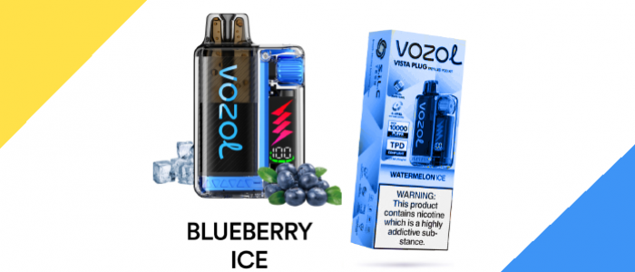 Vazol 20000 Blueberry Ice